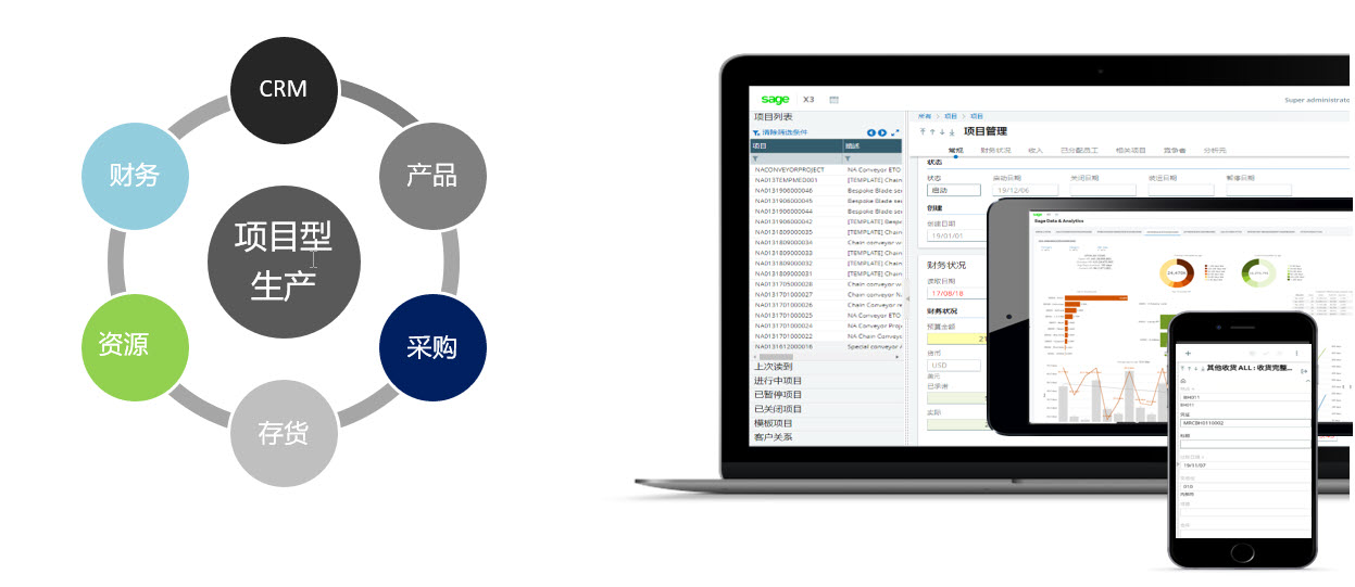 Sage X3 ERP PJM集成